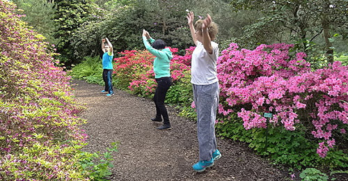 cours de gymnastique en plein air vita-gv